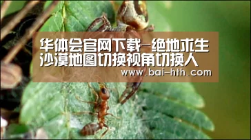 华体会官网下载-绝地求生沙漠地图切换视角切换人物操作介绍(图1) 华体会官网下载