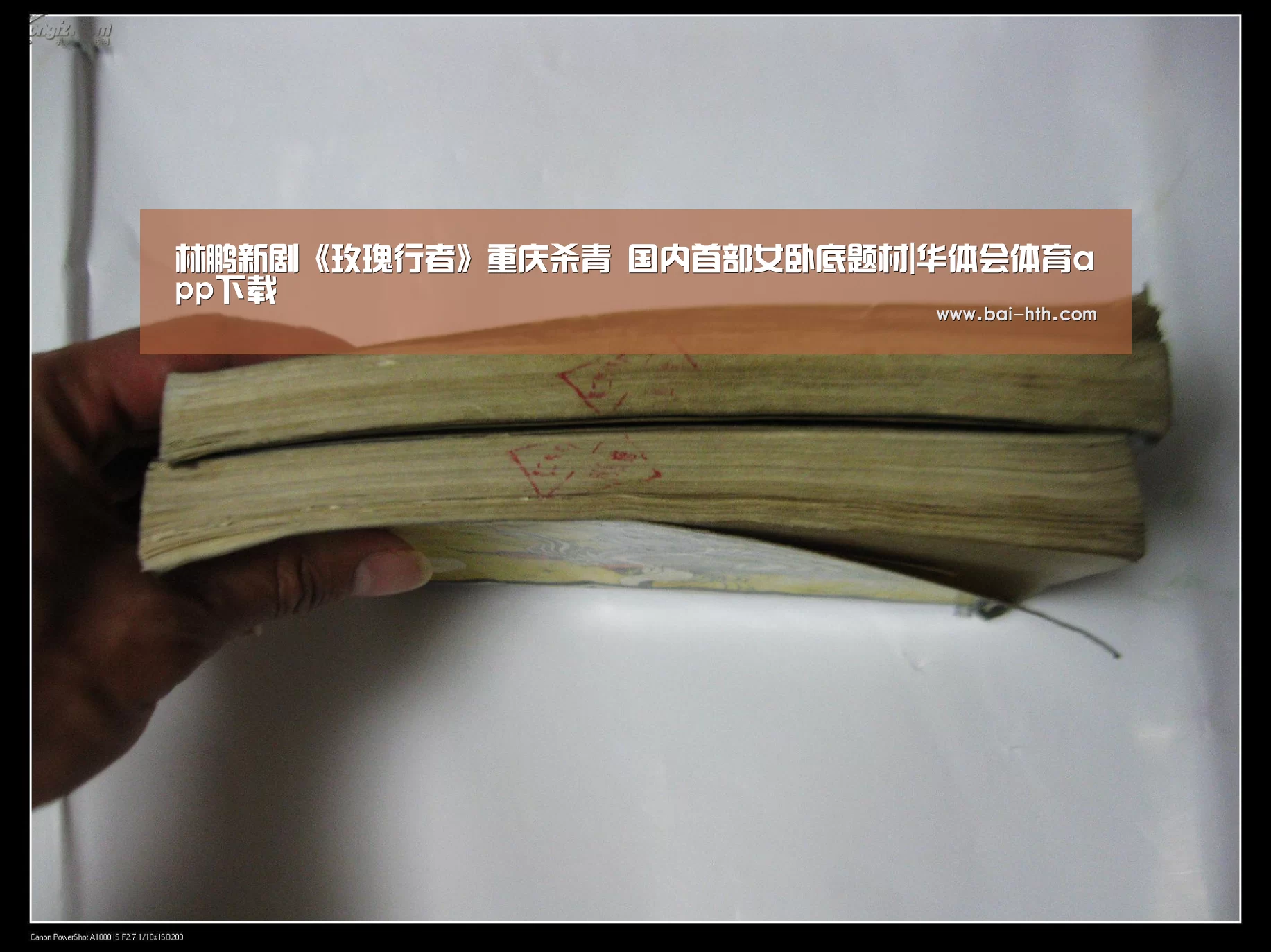 华体会官方网站入口
