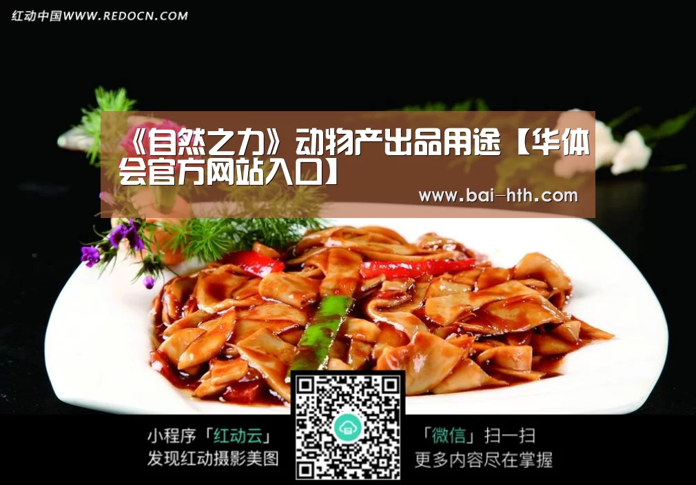 华体会官方网站入口