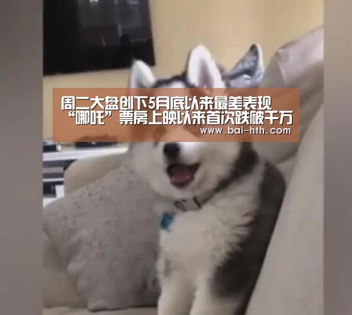 华体会体育app下载