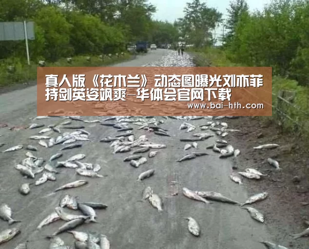 华体会官方网站入口