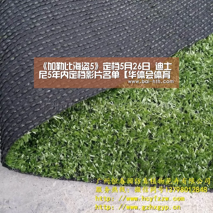 华体会官方网站入口
