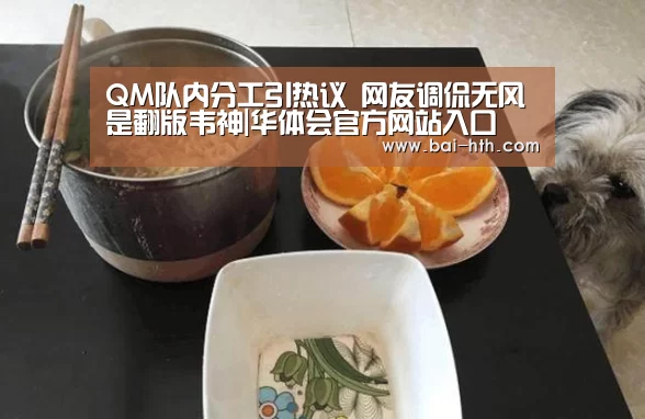 QM队内分工引热议 网友调侃无风是翻版韦神|华体会官方网站入口(图3) 华体会官方网站入口